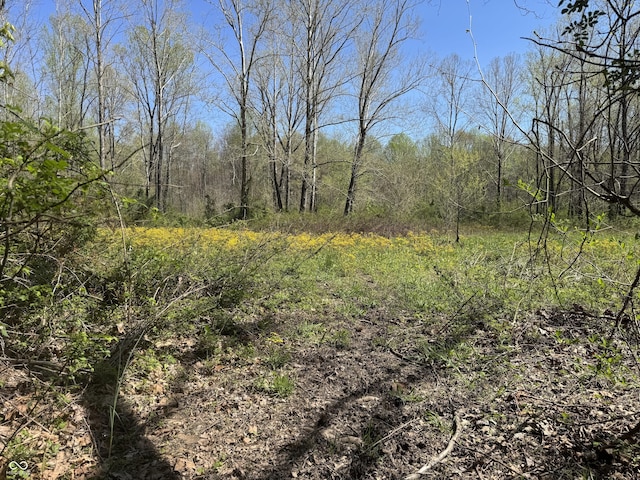 view of landscape with a wooded view