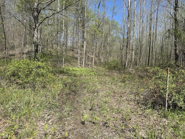 view of landscape with a view of trees