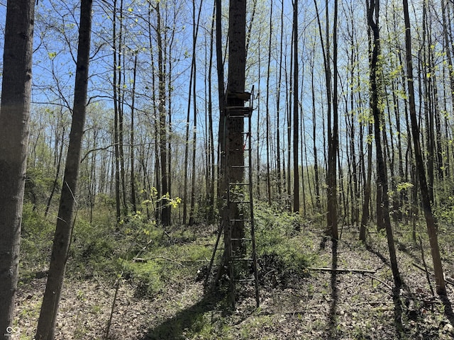 view of nature with a wooded view