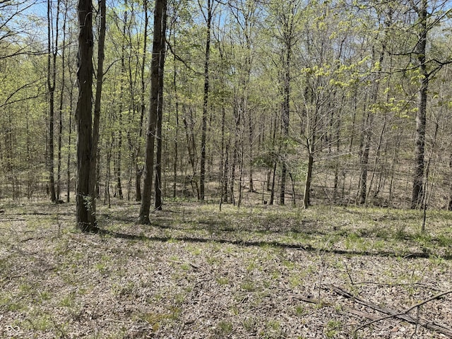 view of local wilderness featuring a forest view