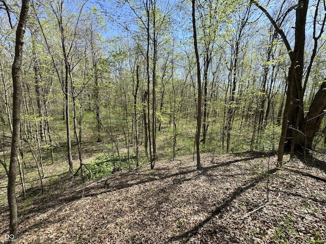 view of landscape featuring a forest view