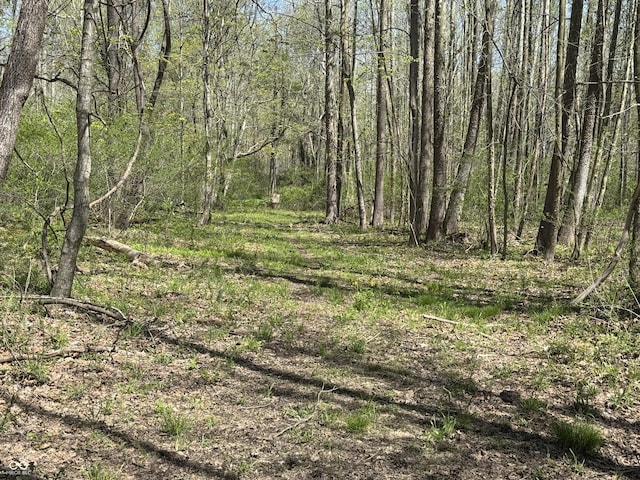 view of nature featuring a forest view