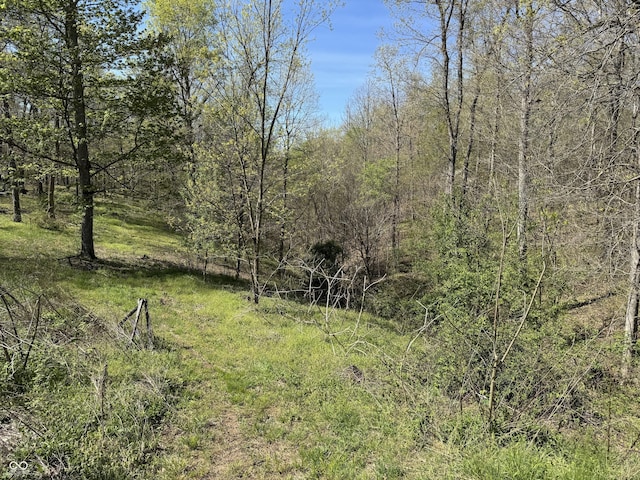 view of nature with a forest view