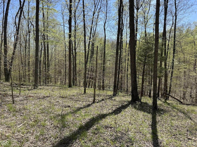 view of nature featuring a wooded view