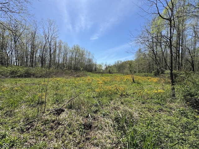 view of landscape featuring a wooded view