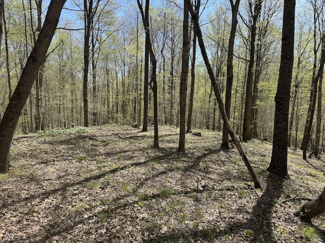 view of nature with a wooded view