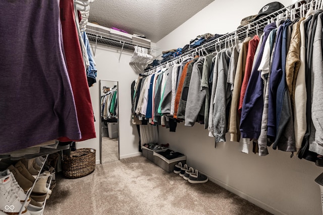 spacious closet featuring carpet flooring