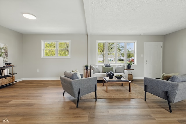 living room with light wood-style flooring, a textured ceiling, a wealth of natural light, and baseboards