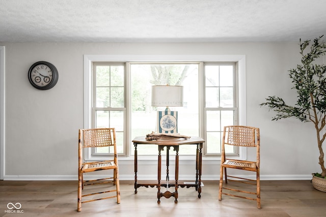 sitting room with baseboards, wood finished floors, and a textured ceiling