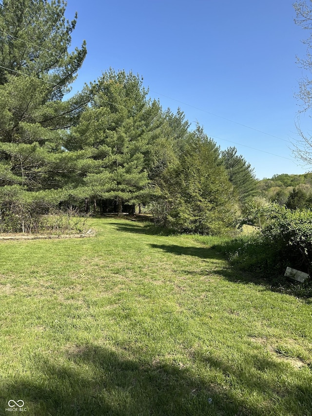 10770 W 650 S, Columbus, IN 47201 - view of yard