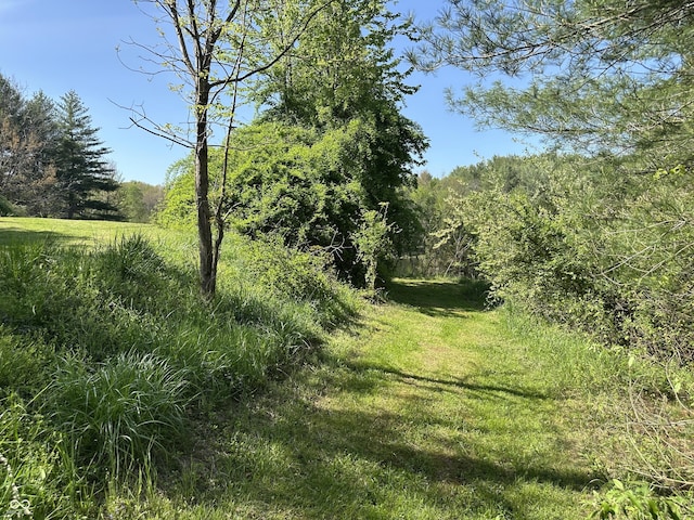 10770 W 650 S, Columbus, IN 47201 - view of landscape with a view of trees