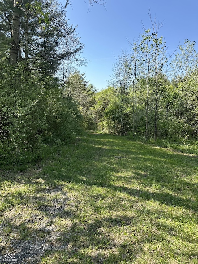 10770 W 650 S, Columbus, IN 47201 - view of yard featuring a wooded view