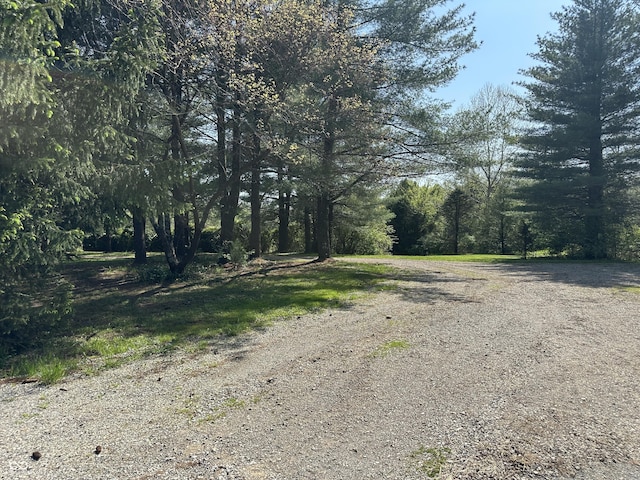 10770 W 650 S, Columbus, IN 47201 - view of street with a forest view