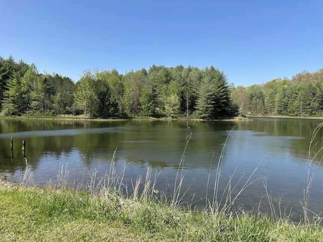 10770 W 650 S, Columbus, IN 47201 - property view of water with a forest view