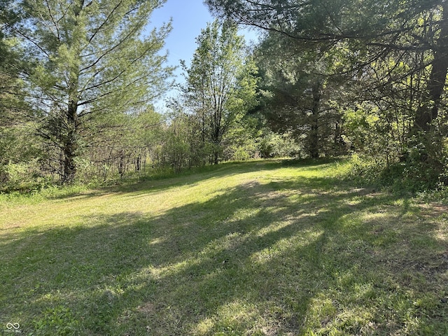 10770 W 650 S, Columbus, IN 47201 - view of yard with a view of trees