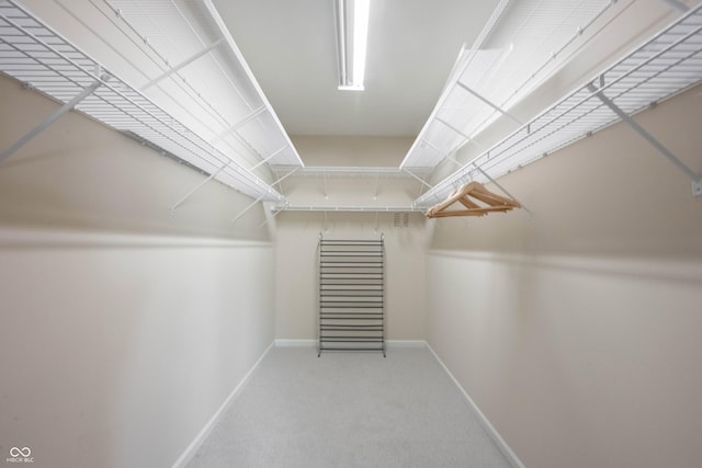 walk in closet with carpet floors