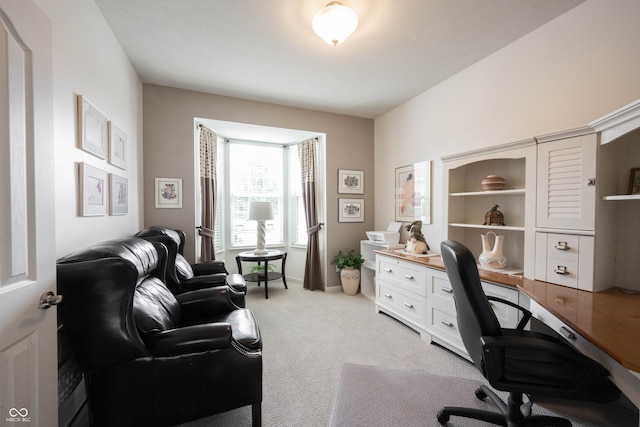 office area featuring light colored carpet