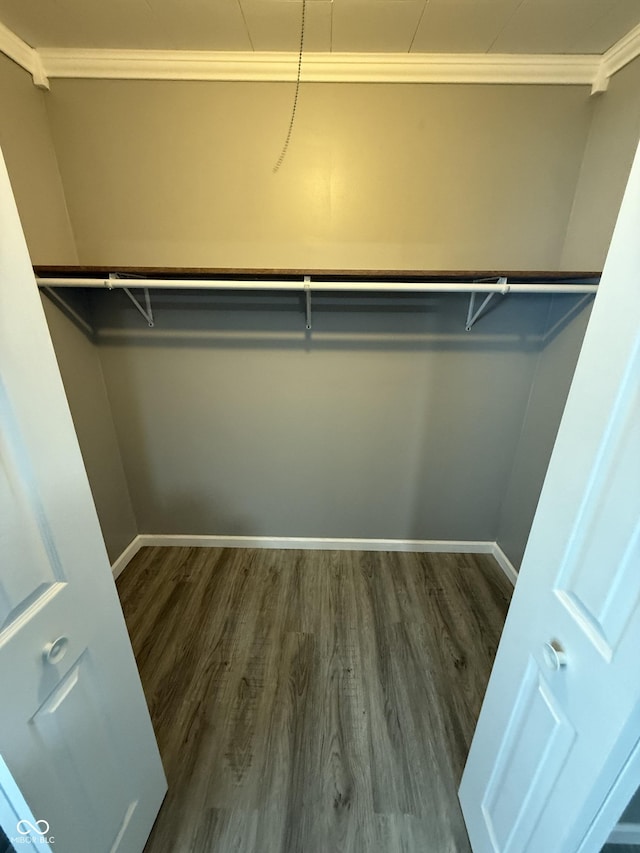 spacious closet featuring dark wood-style flooring
