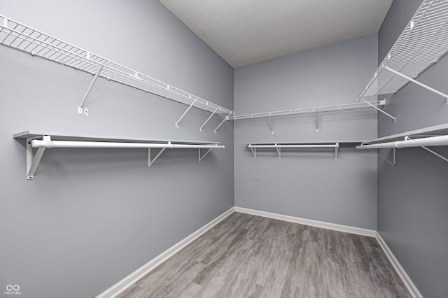 5110 Lilium Dr, Plainfield, IN 46168 - walk in closet with wood finished floors