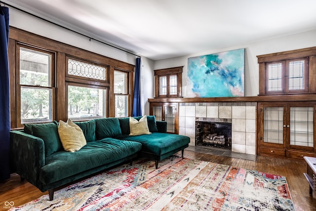 living room featuring a fireplace and hardwood / wood-style flooring