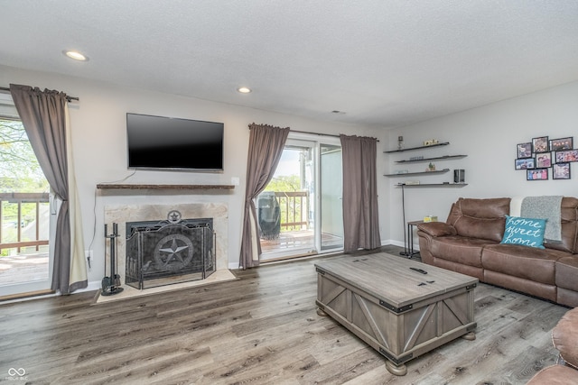 8140 Shorewalk Dr Unit C, Indianapolis, IN 46236 - living room with baseboards, recessed lighting, wood finished floors, and a premium fireplace