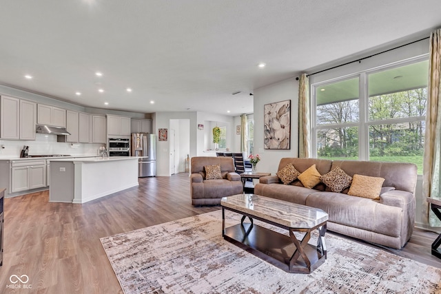 15120 Downham Dr, Fishers, IN 46037 - living room featuring light wood finished floors and recessed lighting