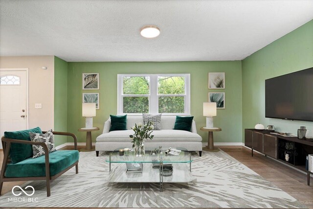 5719 Laurel Hall Dr, Indianapolis, IN 46226 - living room featuring baseboards, wood finished floors, and a textured ceiling