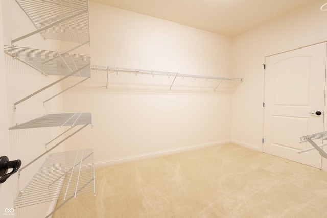 walk in closet featuring carpet flooring