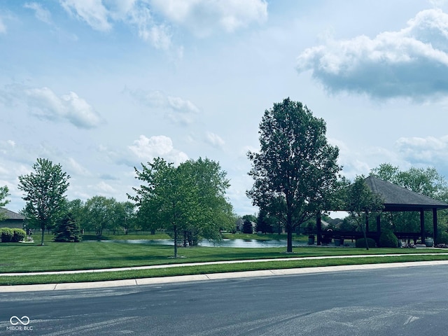 view of road featuring a water view, sidewalks, and curbs