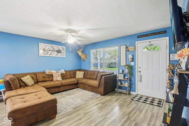 living room featuring a ceiling fan, a textured ceiling, wood finished floors, and a healthy amount of sunlight