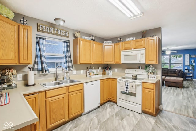 kitchen featuring ceiling fan, white appliances, light countertops, and a sink