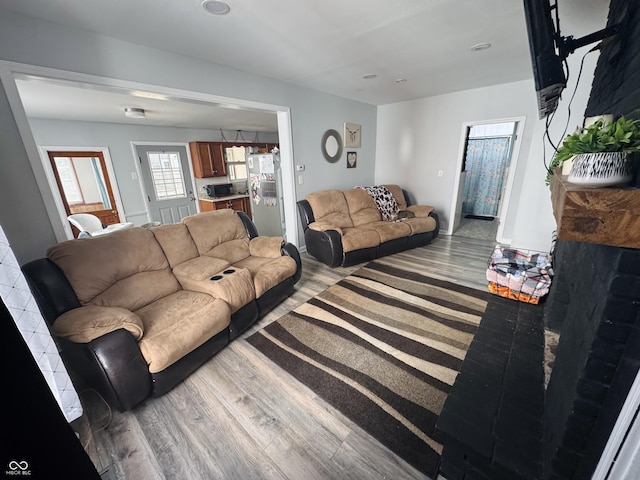 living area featuring wood finished floors