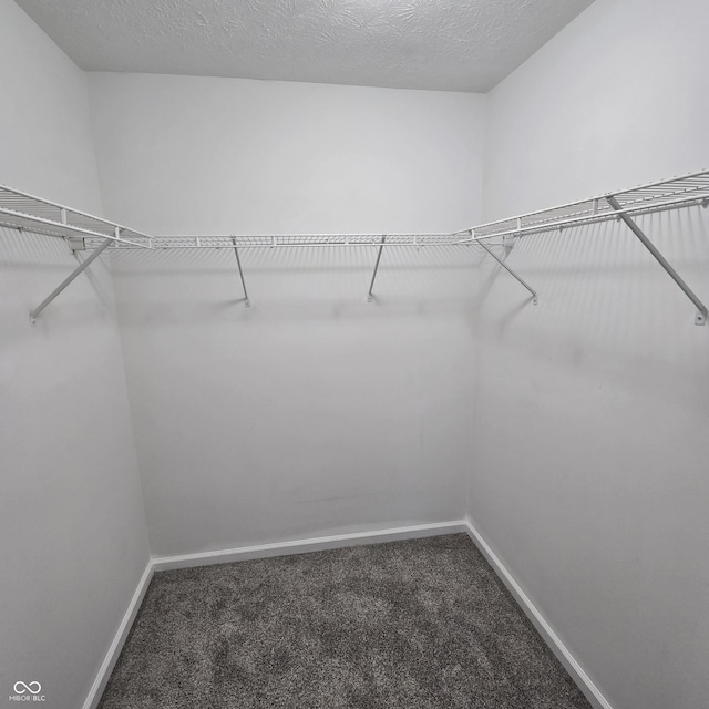 walk in closet with carpet