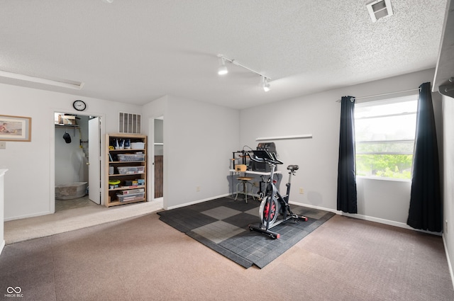 8211 Firefly Way, Indianapolis, IN 46259 - workout room with rail lighting, carpet floors, a textured ceiling, and baseboards