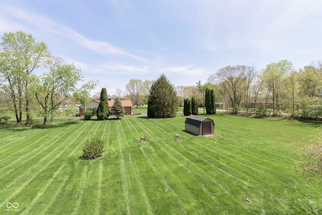 7901 Oaklandon Rd, Indianapolis, IN 46236 - view of yard
