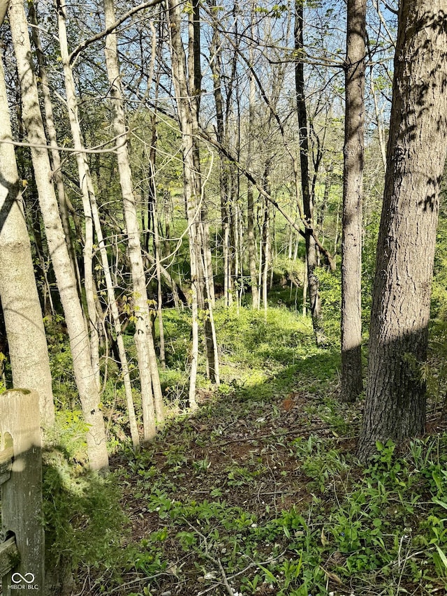 view of landscape