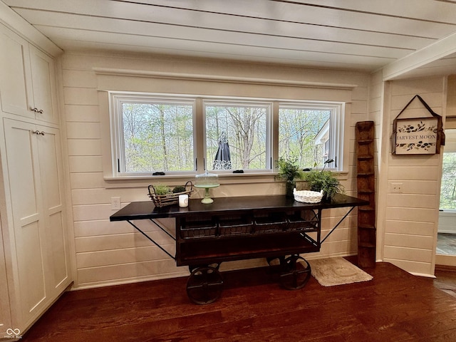 interior space with wood walls, dark wood-type flooring, and plenty of natural light