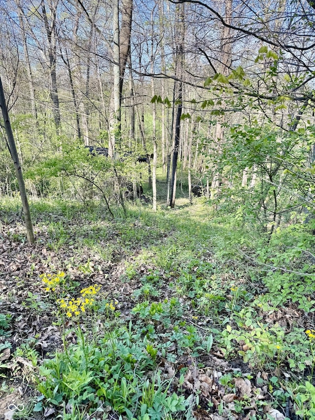 view of landscape featuring a view of trees