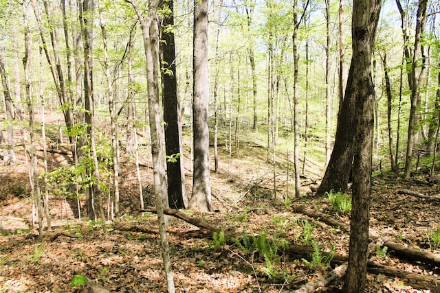 view of local wilderness featuring a wooded view