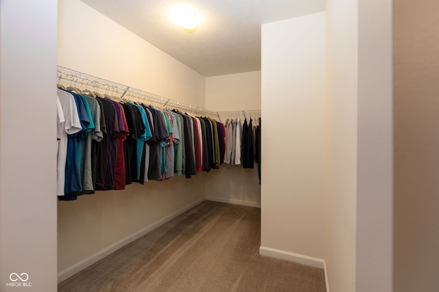 996 Denton Ct, Westfield, IN 46074 - spacious closet featuring carpet floors