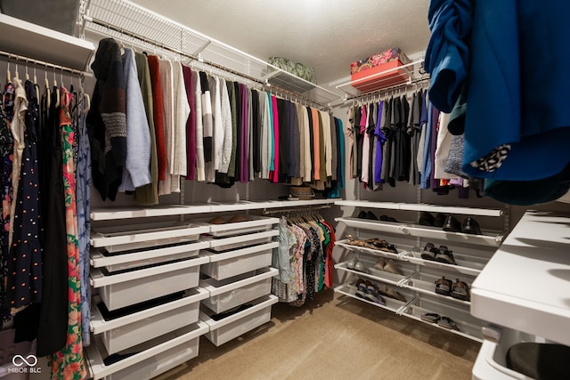 996 Denton Ct, Westfield, IN 46074 - spacious closet with carpet