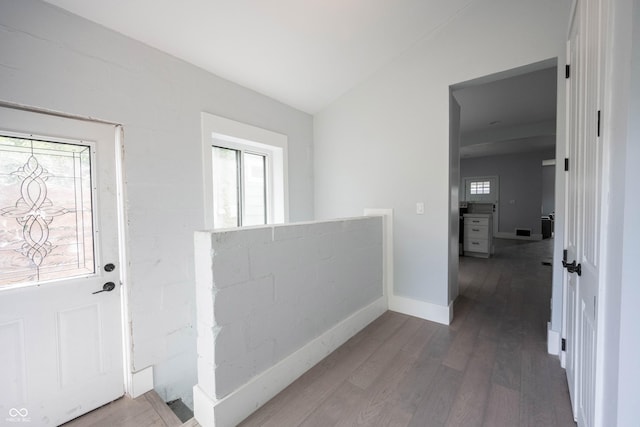 entryway featuring wood finished floors, vaulted ceiling, and baseboards