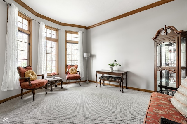 living area with crown molding, baseboards, and carpet flooring