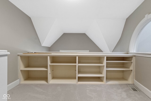 10919 Running Tide Ct, Indianapolis, IN 46236 - walk in closet with carpet floors and vaulted ceiling