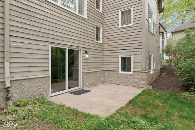 10919 Running Tide Ct, Indianapolis, IN 46236 - view of patio / terrace
