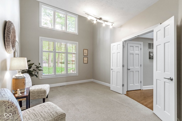 10919 Running Tide Ct, Indianapolis, IN 46236 - living area with carpet, rail lighting, plenty of natural light, baseboards, and a textured ceiling