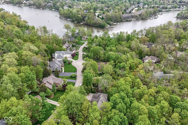 10919 Running Tide Ct, Indianapolis, IN 46236 - view of property location with a large body of water