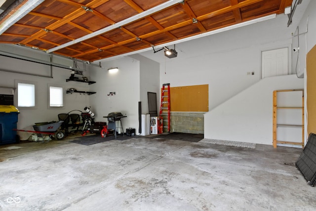 10919 Running Tide Ct, Indianapolis, IN 46236 - garage with a garage door opener