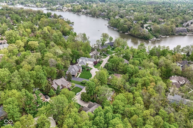 10919 Running Tide Ct, Indianapolis, IN 46236 - view of property location with a large body of water and nearby suburban area