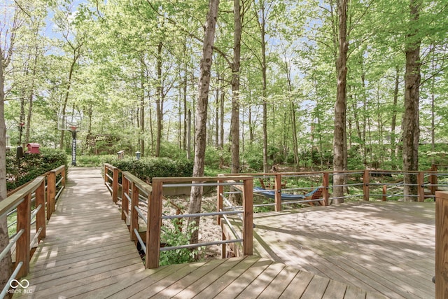 10919 Running Tide Ct, Indianapolis, IN 46236 - view of deck